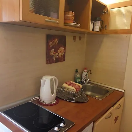 Best Location Old Town Pilies Avenue * فيلنيوس